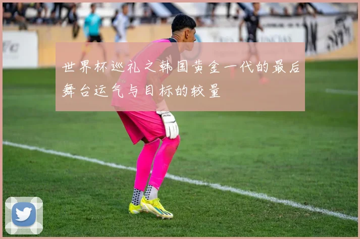 世界杯巡礼之韩国黄金一代的最后舞台运气与目标的较量