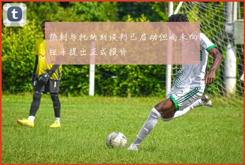 热刺与托纳利谈判已启动但尚未向纽卡提出正式报价